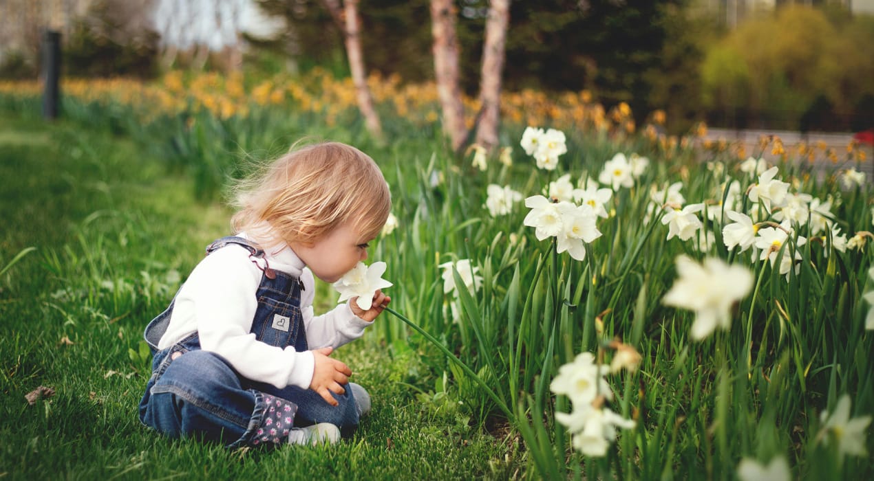 Young child sitting in a garden, smelling some spring flowers